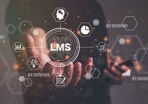 LMS Set Up for a Training Organization